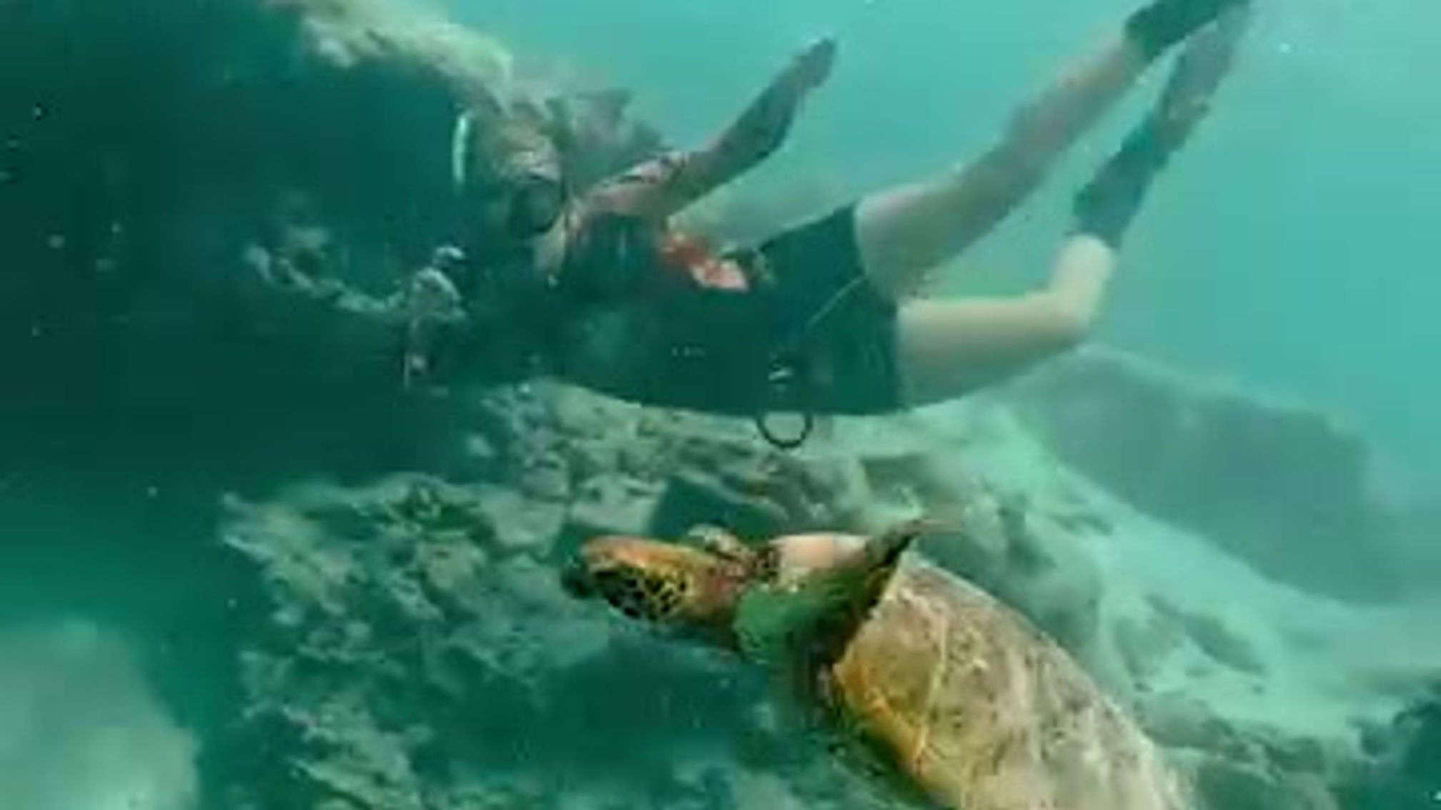 Just a normal day here at @ariki.adventures #pacific #ocean #cookislands